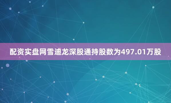 配资实盘网雪迪龙深股通持股数为497.01万股