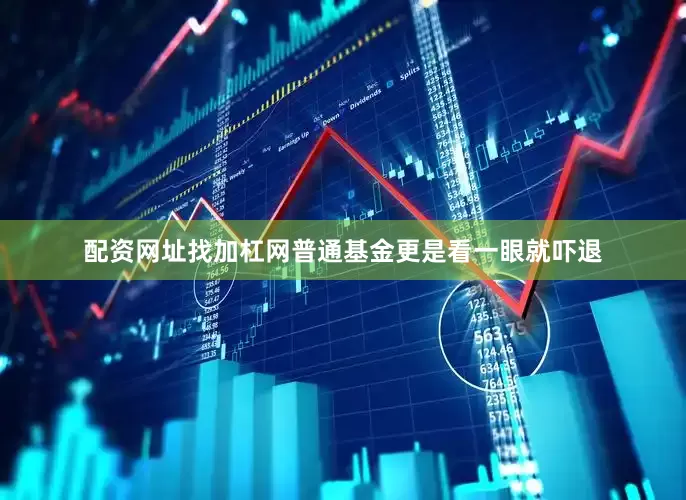 配资网址找加杠网普通基金更是看一眼就吓退